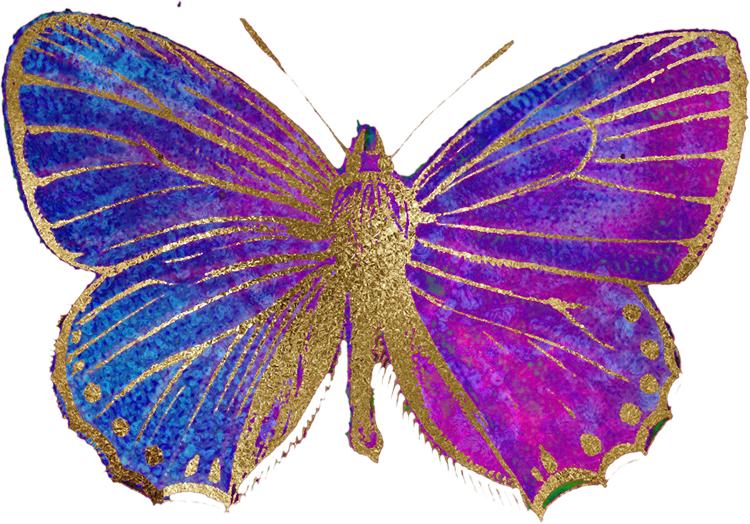 painted-butterfly_0059_1