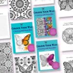 CYW 3 Covers with pages