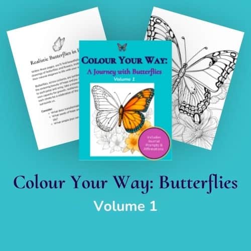 CYW_ Butterflies 1