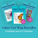 Complete Butterfly Colouring Set