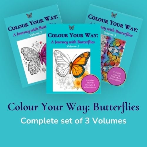 Complete Butterfly Colouring Set