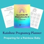 Rainbow Pregnancy Planner