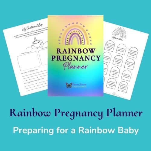 Rainbow Pregnancy Planner
